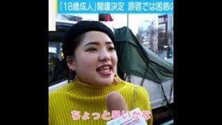 成人年齢引き下げに若者は不安感「自立できない」「成人式は20歳でやるべき」......