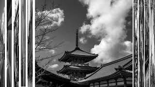 Seiji Shinohara - Mi Japón