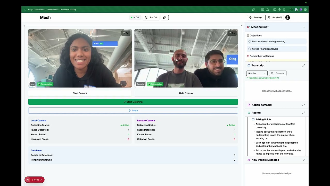 Mesh project preview
