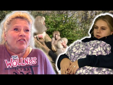 Zoo, Lüge & Zoff: Der Familienausflug eskaliert! 😱🐾 | Die Wollnys #rtlzweiclassic #196