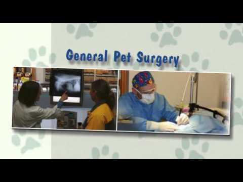 Riverside Animal Hospital - Green Bay, WI