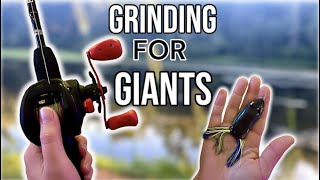 Searching for Pond Giants! (Summer/Fall Bank Fishing)