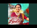 CHICKEN YE THESTHADO NA ALLUDU