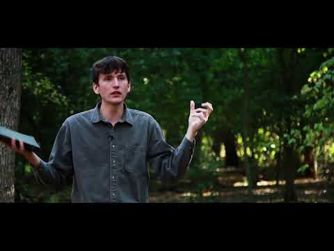 PÁL, KRISZTUS APOSTOLA