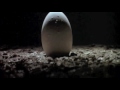 Alien 1979 Trailer