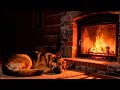 Sleeping Dog By Fireplace 24 7 Crackling Fire Sounds
