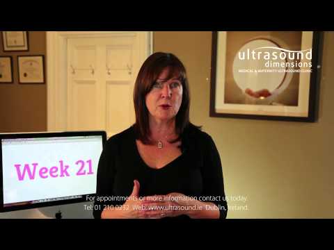 21 Weeks Pregnant - Your 21st Week Of Pregnancy