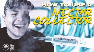 How To Use A Nectar Collector