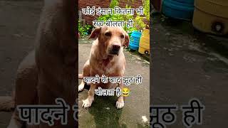 पादने का सच😂 #funny #adorably #motivation #adoreble #comedy #dogcoach 