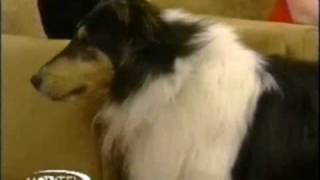 An Angel in the Night