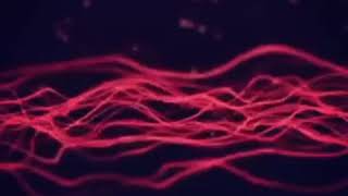 Say You Love Me ~ Monophonics