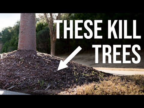 Mulch Volcanoes: Deceptively Deadly