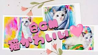 【猫好きさんのためのBGM】曲:猫かわいい♡　動画:珠美のアルバム