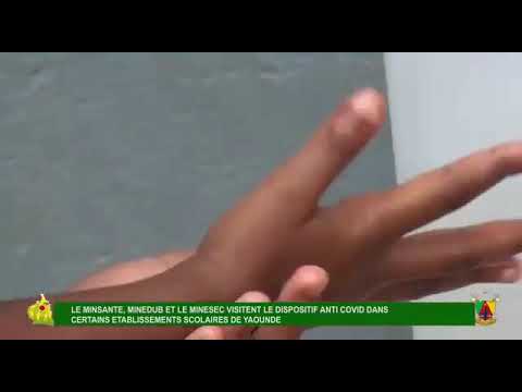 Le Minsanté, Minedub et le Minesec visitent le dispositif Anti Covid dans des établissements scolaires