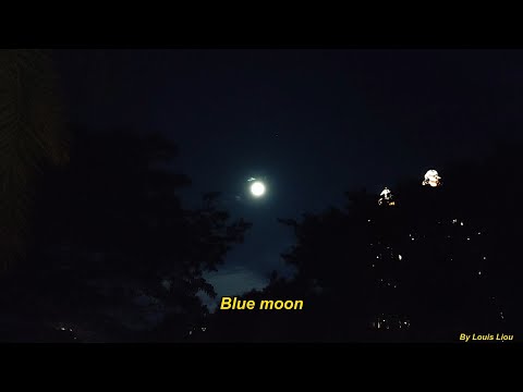 Rod Stewart  Blue Moon feat. Eric Clapton(With Lyrics)