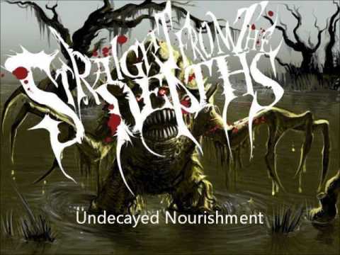 Straight from the Depths - Undecayed Nourishment