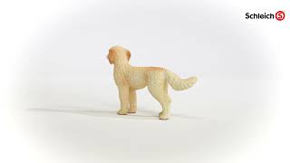 Schleich Pes Goldendoodle