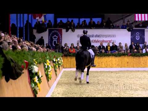 Grey Flanell english 2015