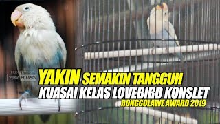 Download lagu RONGGOLAWE AWARD 2019 : WOW! KUASAI KELAS LOVEBIRD KONSLET, YAKIN SEMAKIN TANGGUH RAIH JUARA PERTAMA mp3