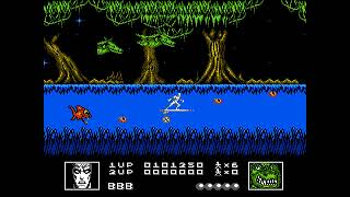 Silver Surfer (NES-NA original) full game session