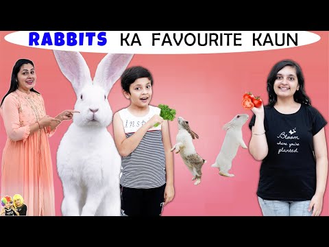RABBITS KA FAVOURITE KAUN? Favourite food, room and fast | Aayu and Pihu Show