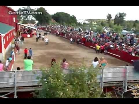 Hilites da Festa Brava de GenteTV - Sepy.12 - #3