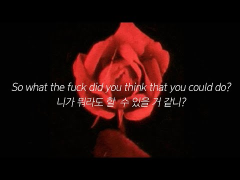 🥀𝑺𝒐𝒍𝒆𝒊𝒎𝒂 - 𝑹𝒐𝒔𝒆𝒔 | Roses 가사 해석