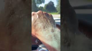 1967 Pontiac GTO-Driving POV