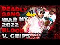 Bloods V Crips Total Chaos