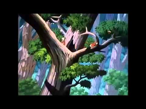 Chip and Dale & Donald Duck Compilation Full