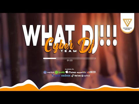 What Dj !!! - CYBER DJ TEAM (Official Audio Visualizer)