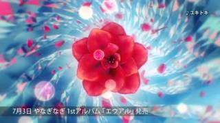 Euaru video 2