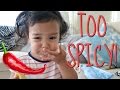 TOO SPICY July 25 2016 ItsJudysLife Vlogs