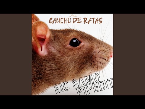 Caminos de Ratas
