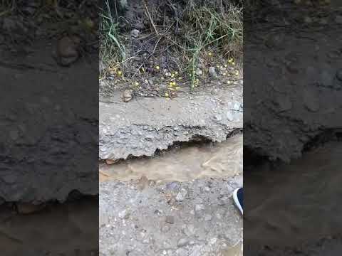 Dupa o scurta ploaie