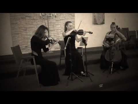 Promotional video thumbnail 2 for Stella Strings