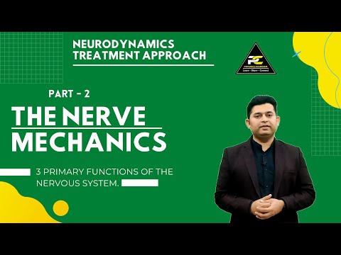 Conceptual Framework of Neurodynamics Treatment Approach The 3 Part System