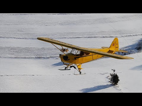 Damian DelGaizo's Ski Flying  101