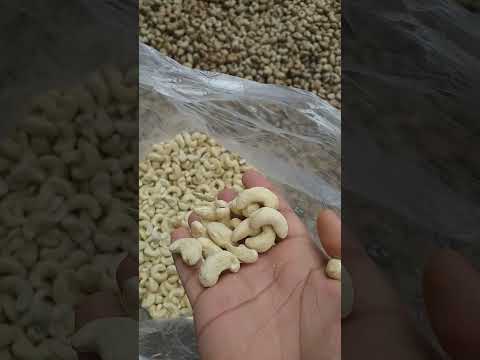 White Cashew Nuts W240