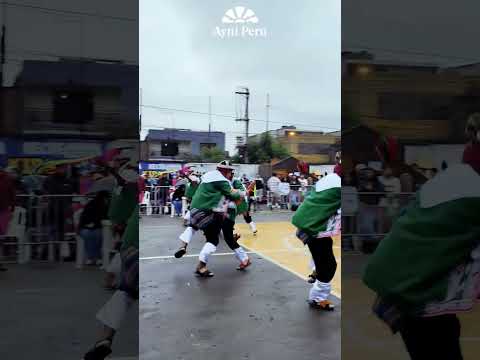 Carnaval de Canas - Cuzco - Hijos del Sol / Virgen de Oro 2026