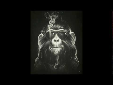 Capital Monkey - Crazy Animals [HD]