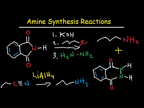 Amine Synthesis Reactions Organic Chemistry - Summary & Practice Problems