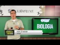 Biologia - Zoologia - Cordados