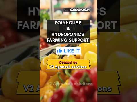 Hydrophonics Farming Benefits #hydroponics #viralshorts #soillessfarming #trendingshorts #farming
