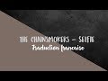 The chainsmokers - Selfie / Sam Tsui. ( Traduction ...