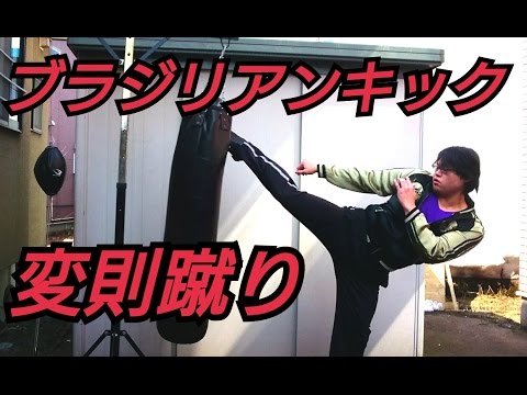 【ガード無効技！？ブラジリアンキック！】ハヤテ流格闘技