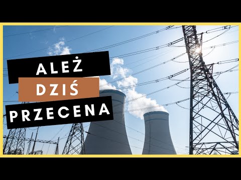Cena CO2 niszczy polską energetykę - Amica, Voxel, PGE