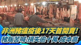 非洲豬瘟疫後17天開賣 豬肉攤商損失逾十萬 豬販苦喊"豬價太貴.成本高" 盧秀燕:會反應增量 豬肉料理重磅回歸 老饕一早搶吃爌肉.肉圓｜三立新聞網 SETN.com