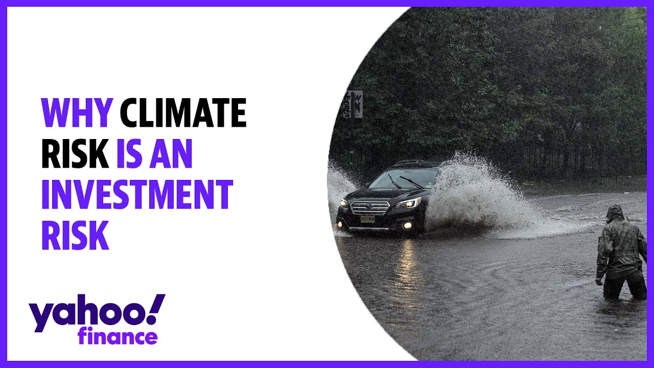 Climate risk is investment risk, Climate Insights founder explains