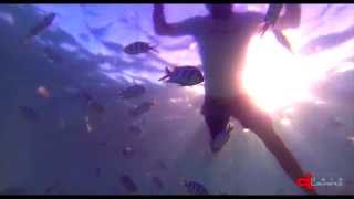 preview picture of video 'Diving BLUE BAY 3 | Mauritius Island'